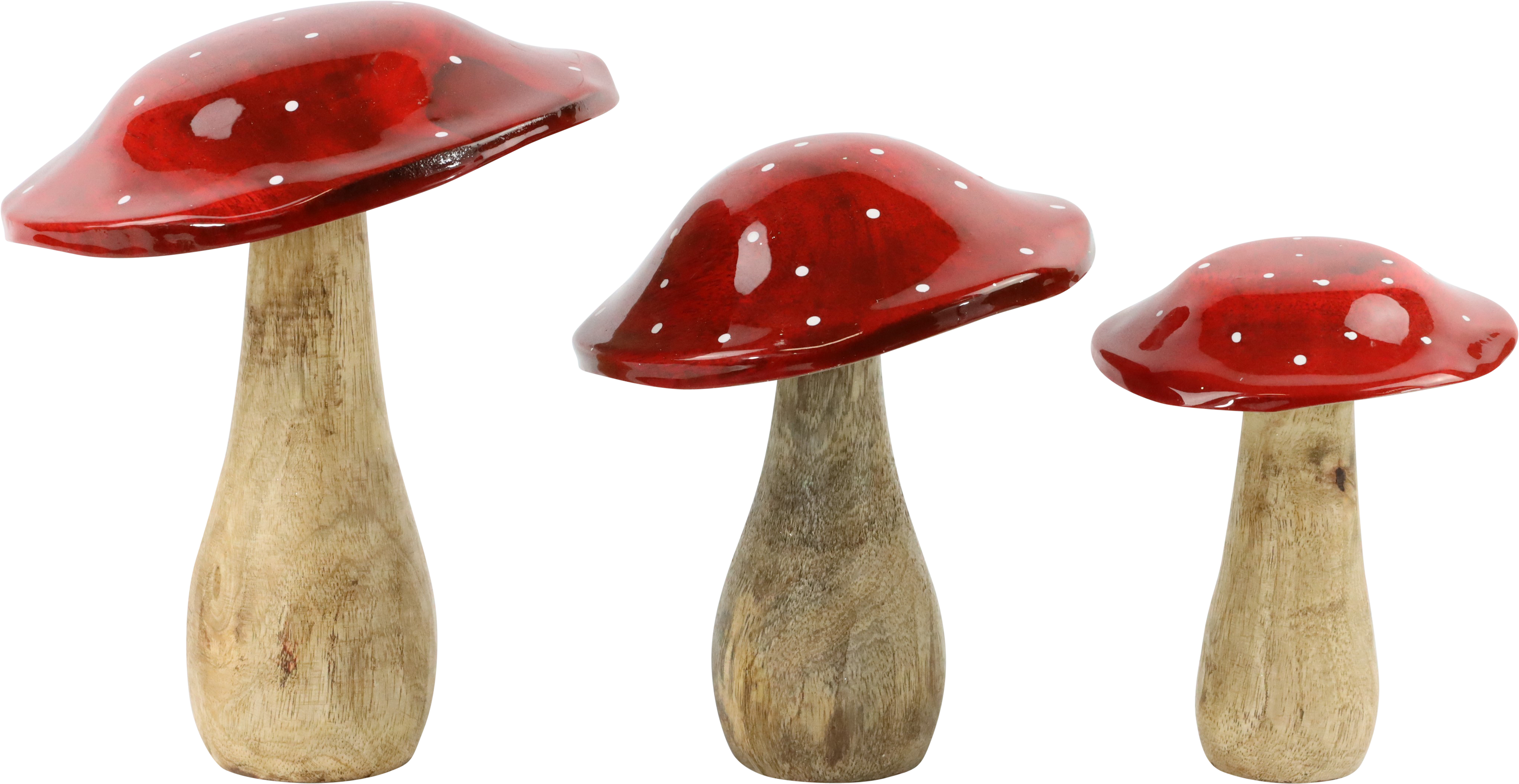 1166 FLY MUSHROOM S/3