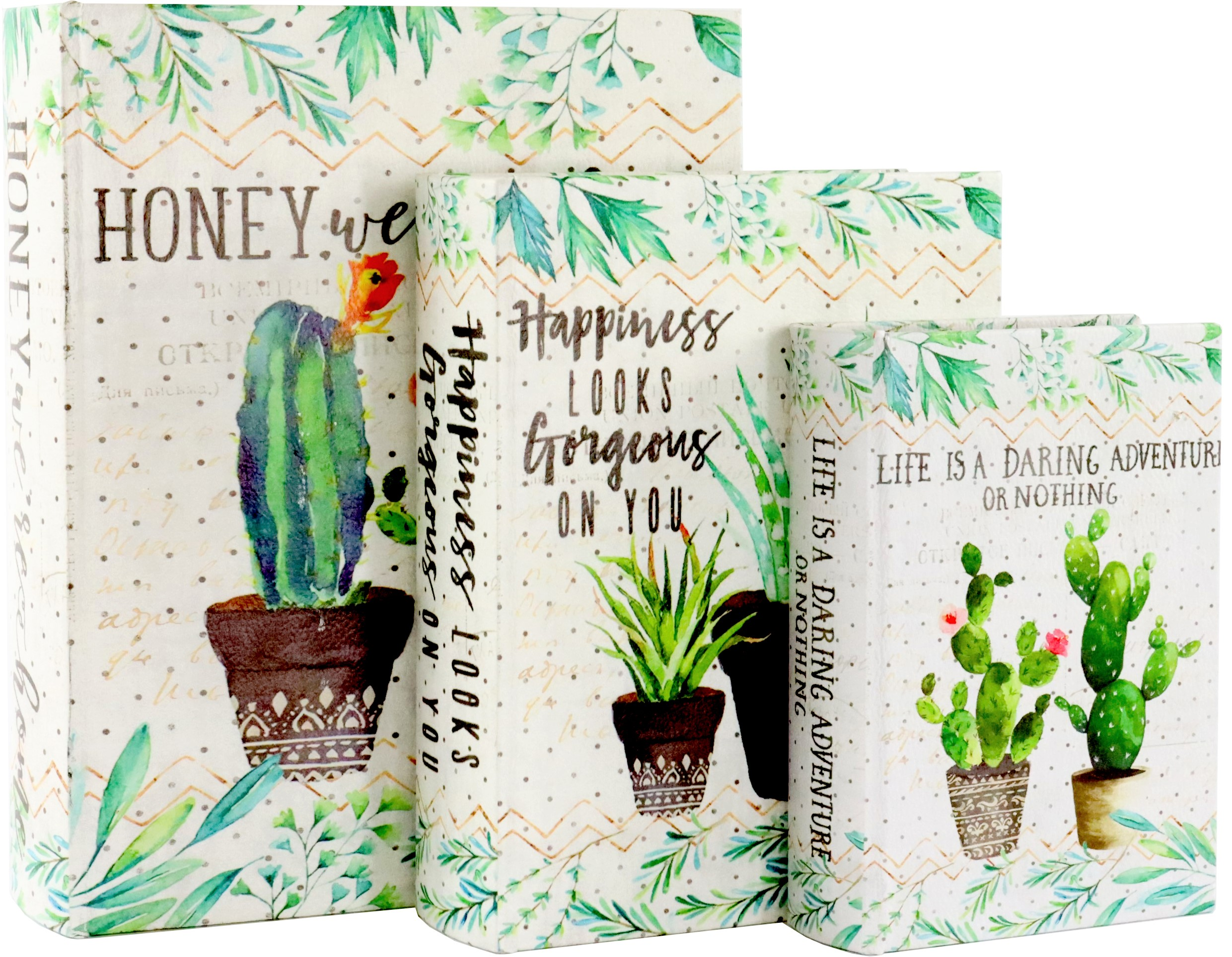 1335 BOOK CACTUS  S/3