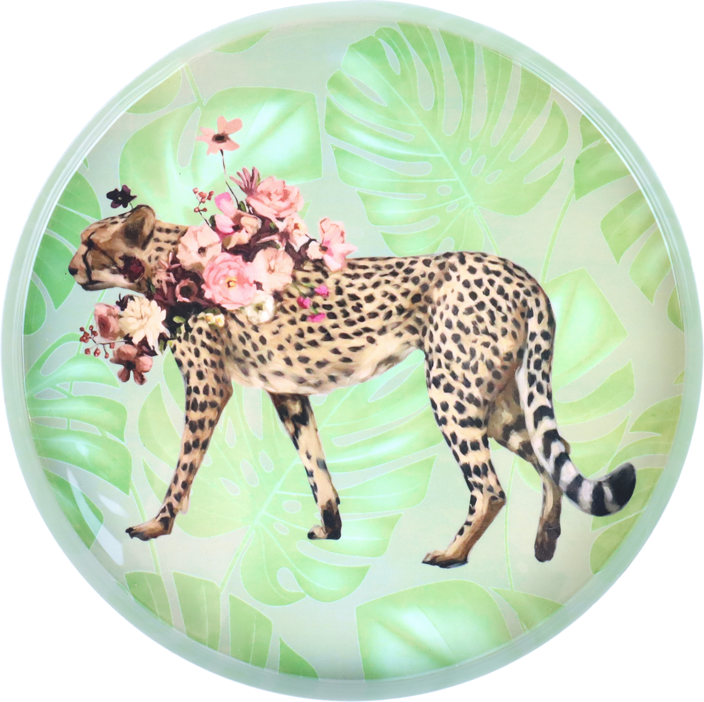 1655 PLATEAUS LOVELY LEO