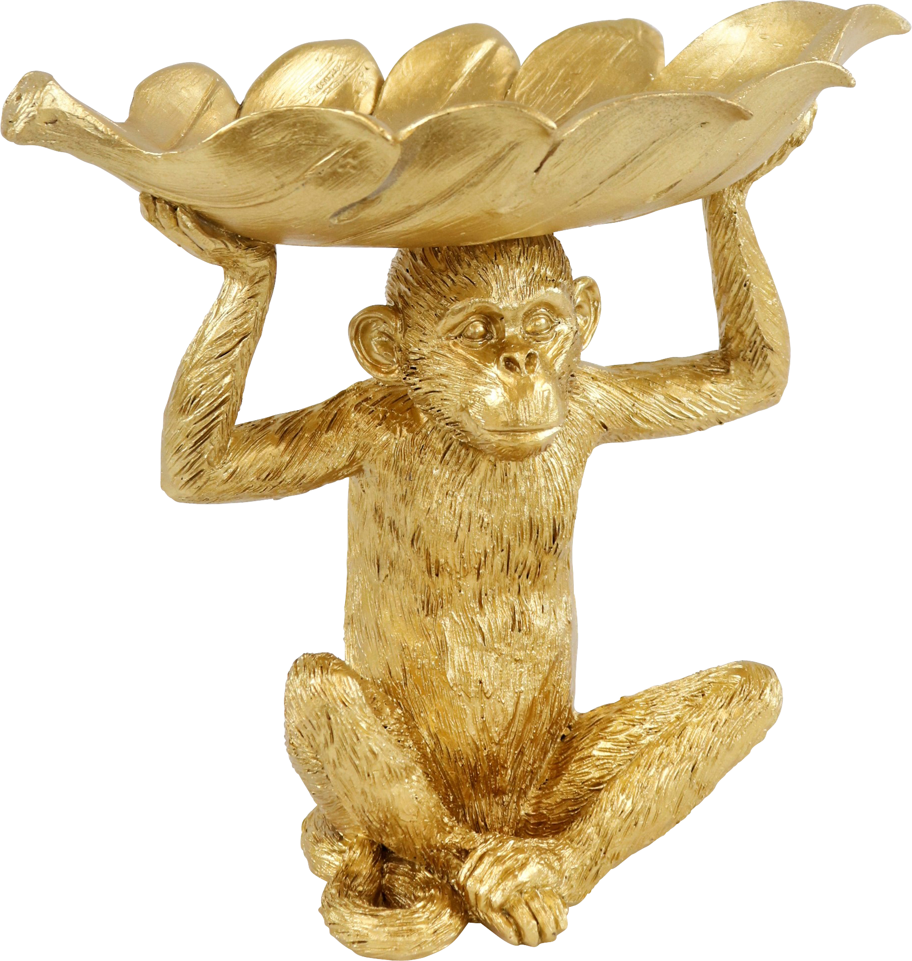 2088 PLATEAU  MONKEY