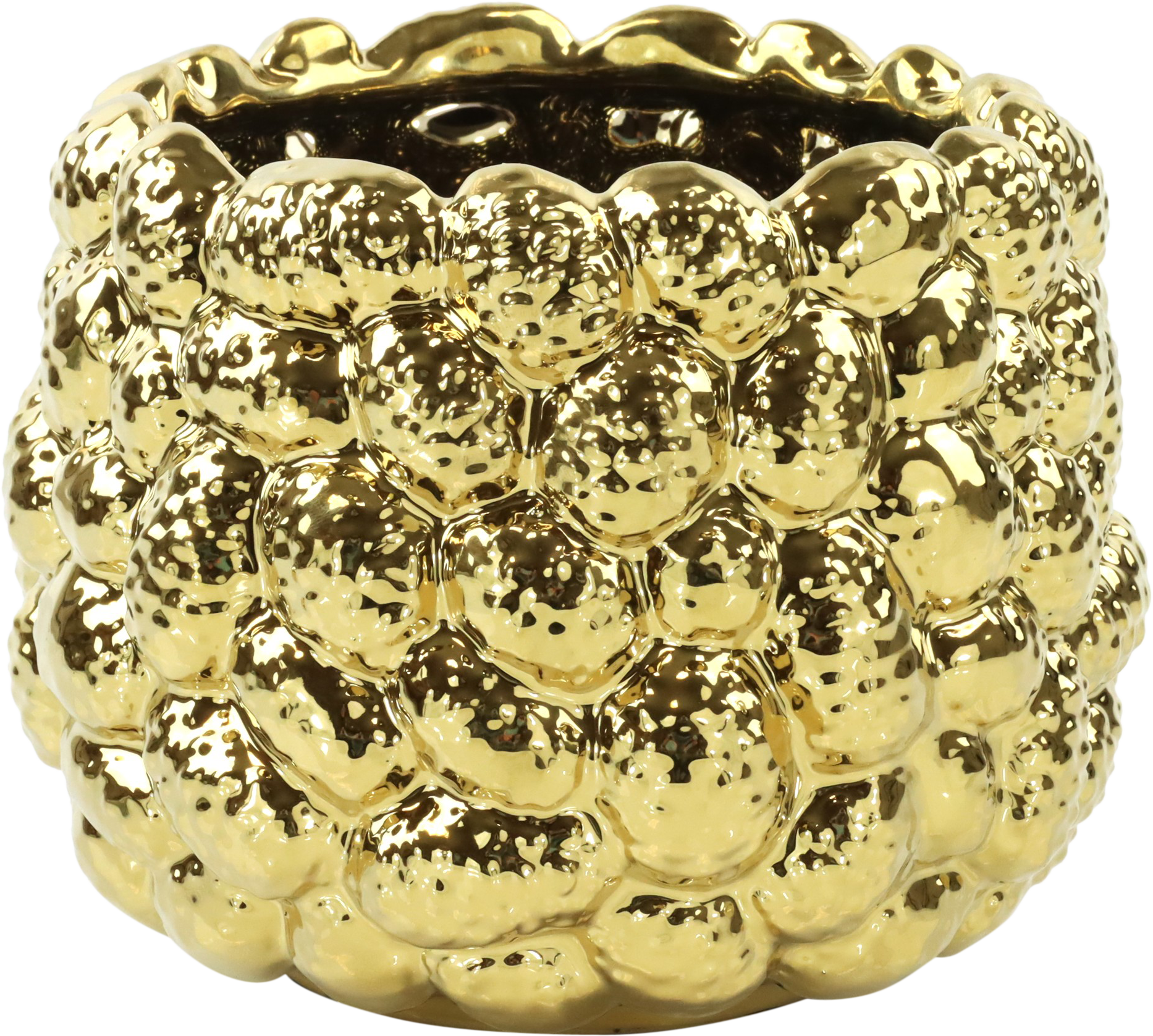 2391 FLOWERPOT PINE GLOW