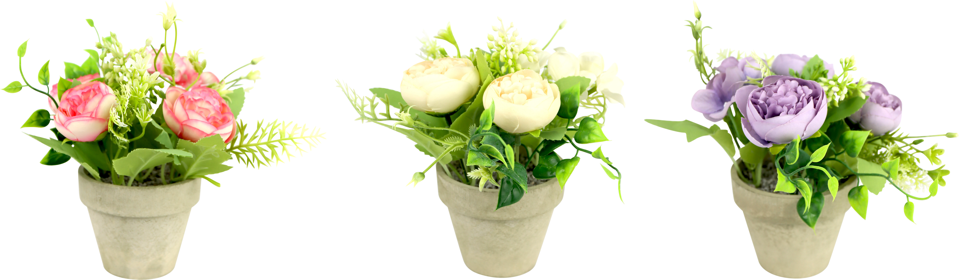 2432 FLOWERPOTS RANUNCULA  S/3