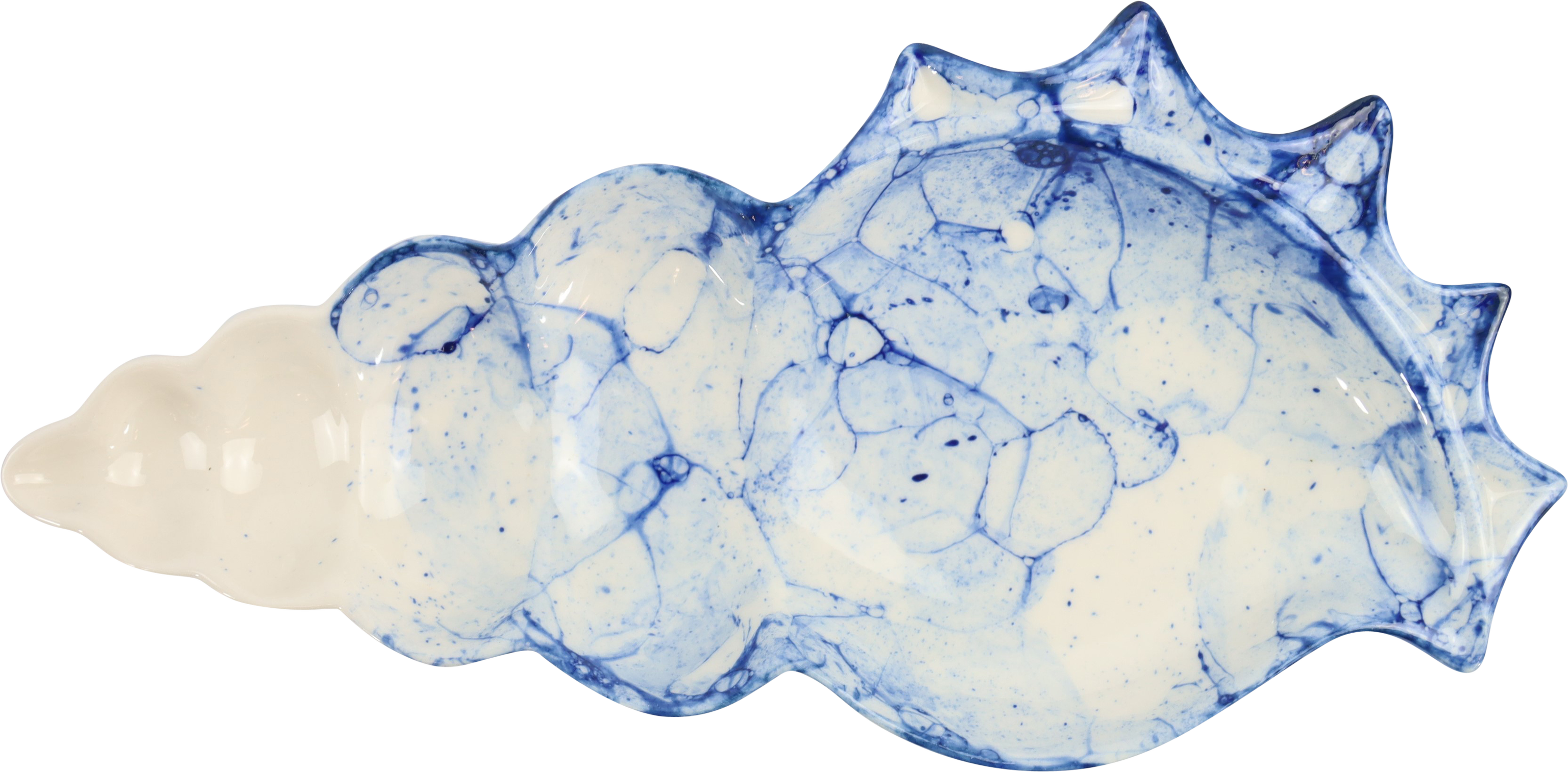 2451 COQUILLE DE MOULES OCEAN