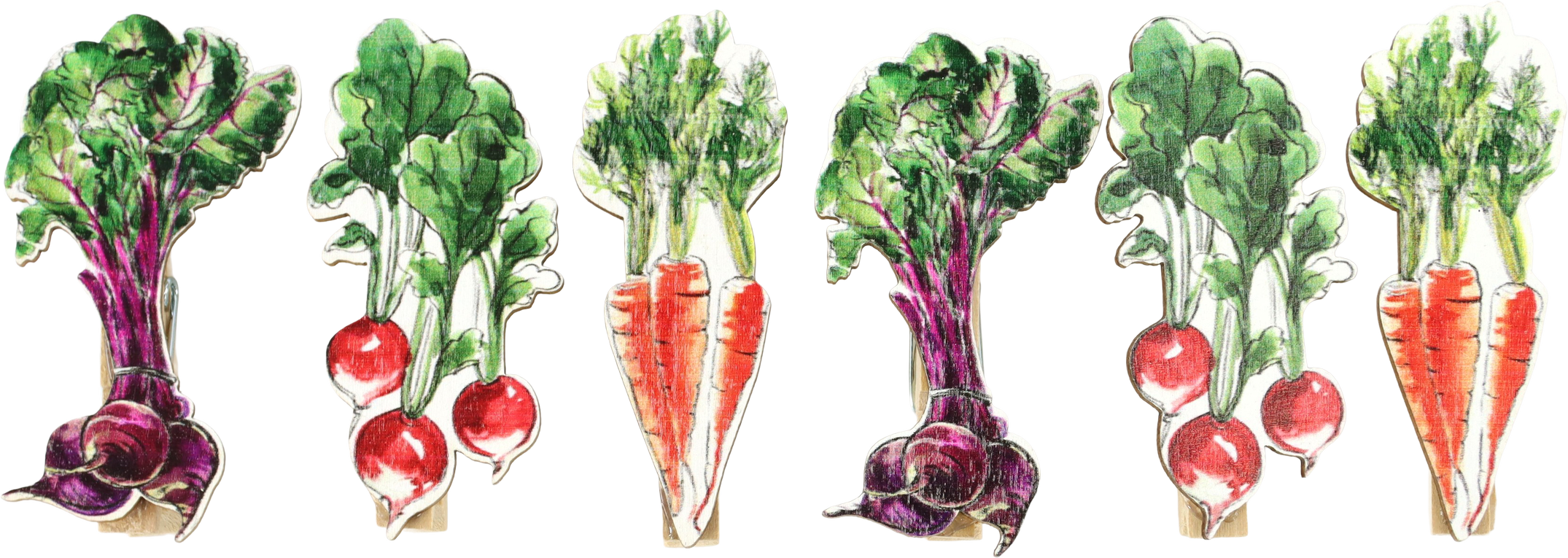 2676 KLAMMERN VEGGIE VIBES  S/6