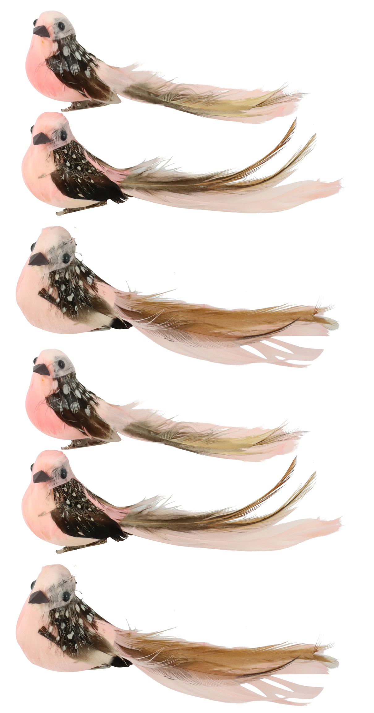 3213 OISEAUX  BIRDY  6P