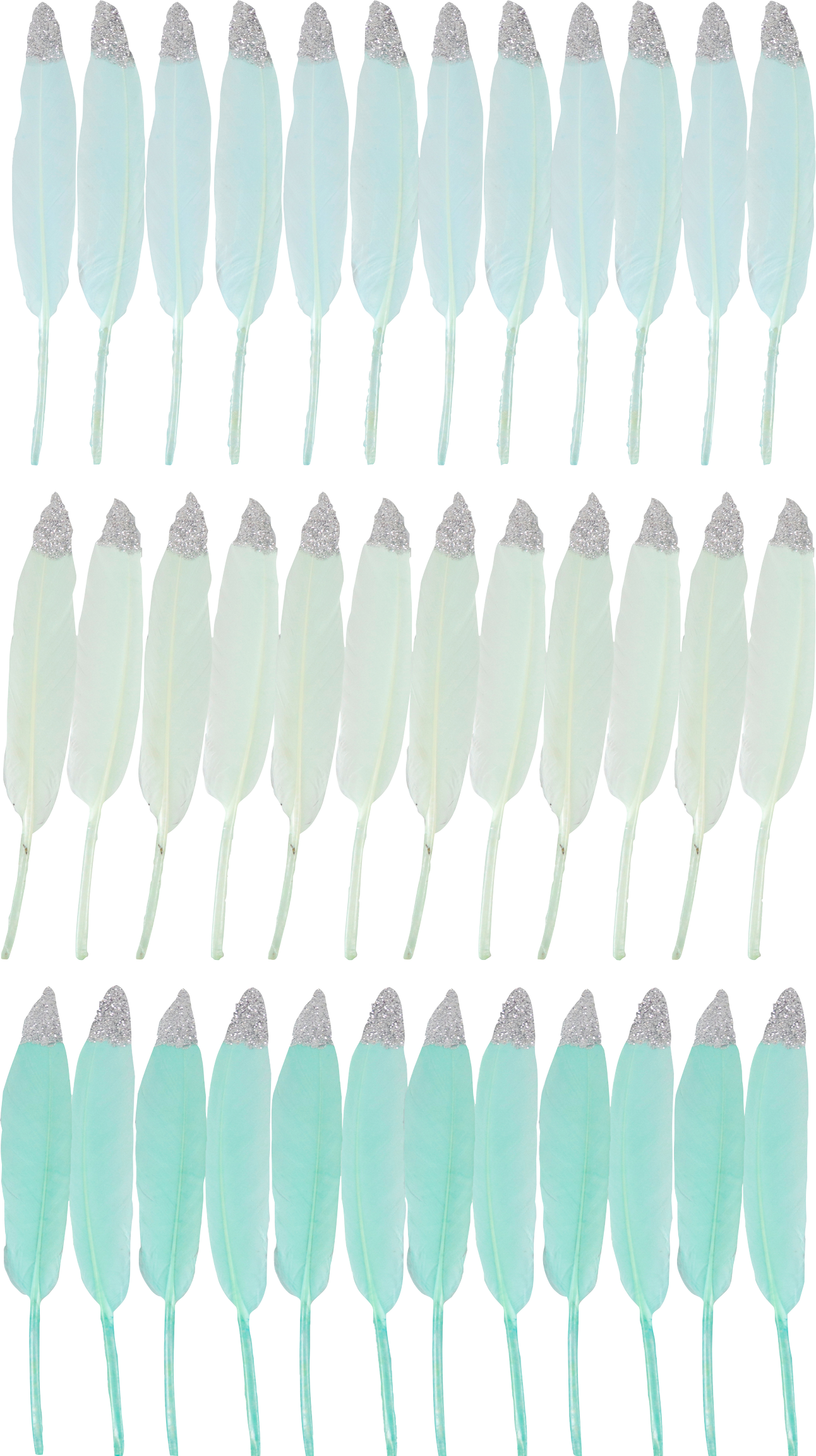 3324 PLUMES  MINT  36P