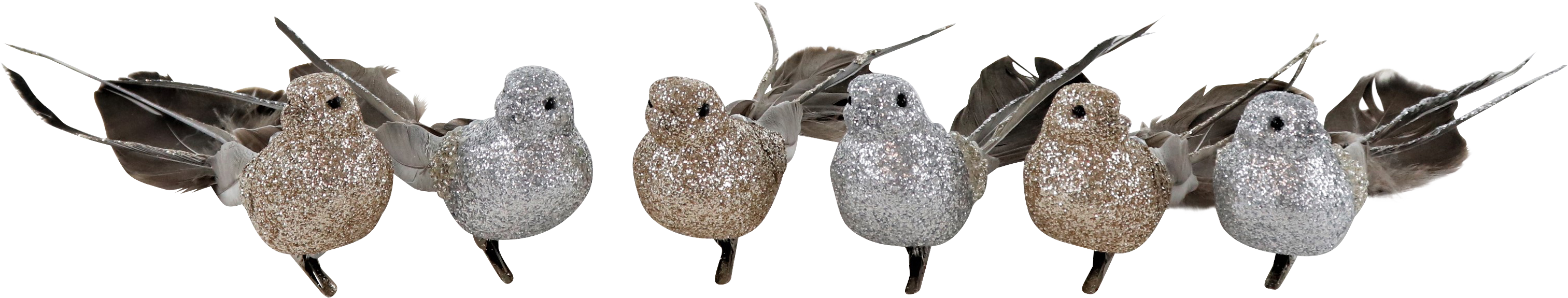 3469 OISEAUX  FEDERSTOLZ  6P