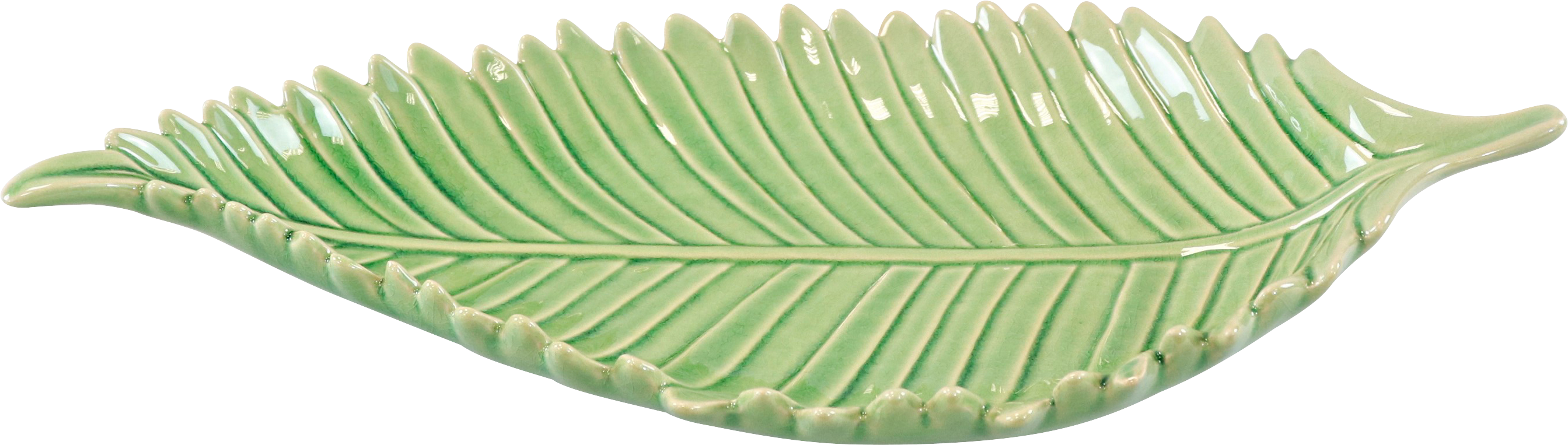 3598 PLATEAU  FOLIAGE