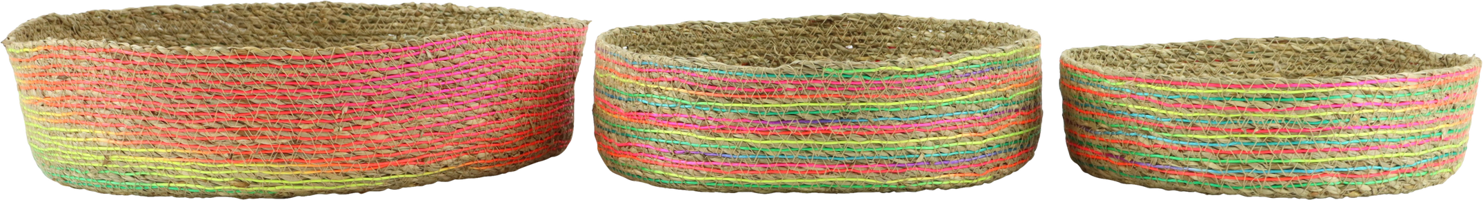 4484 KORBSCHALEN RAINBOW ROOTS  S/3