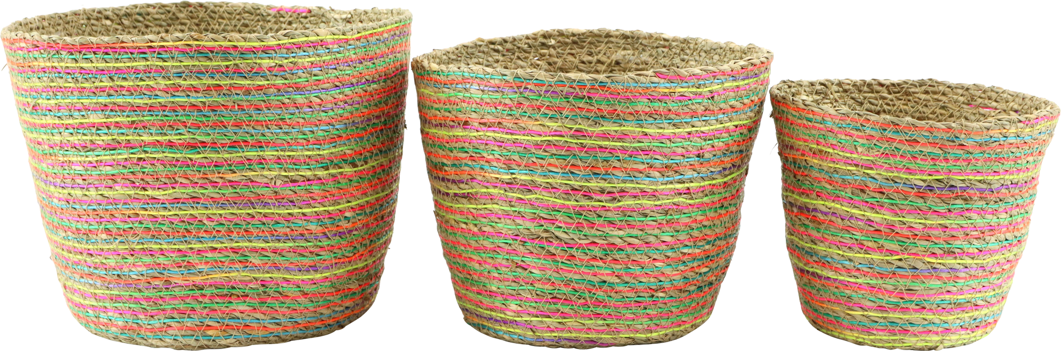 4486 ÜBERKÖRBE RAINBOW ROOTS  S/3