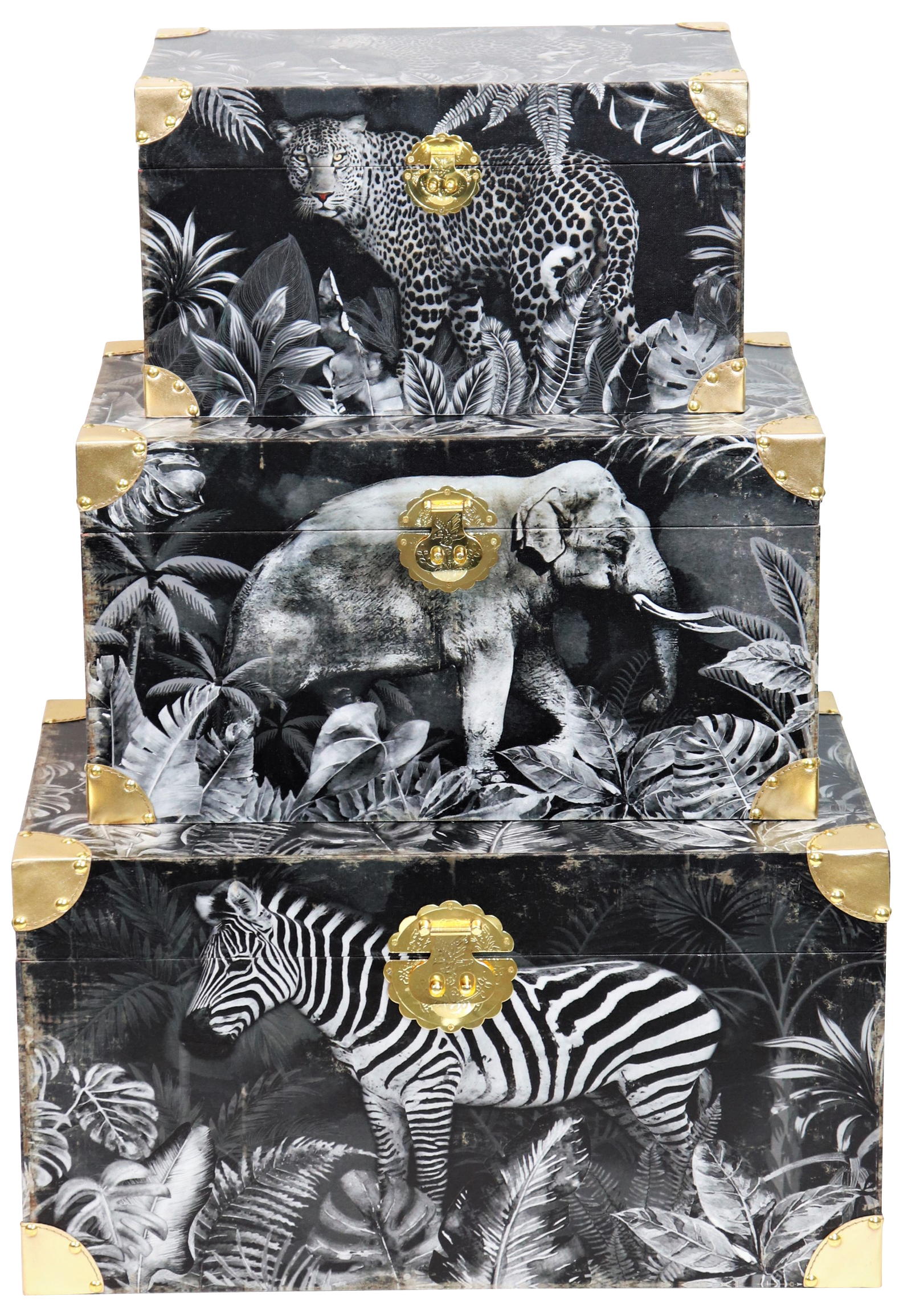 4795 COFFRES  SAFARI  3P