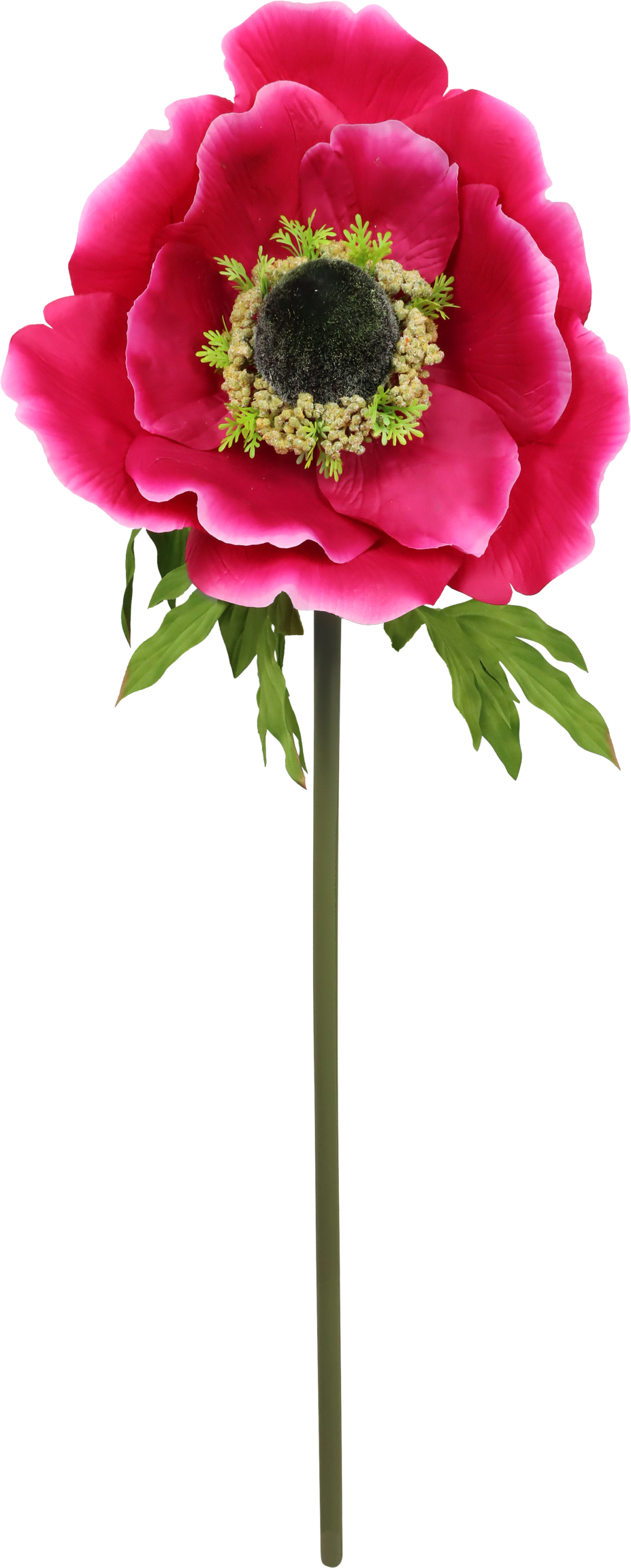 4912 FLEUR GÉANTE  ANÉMONE