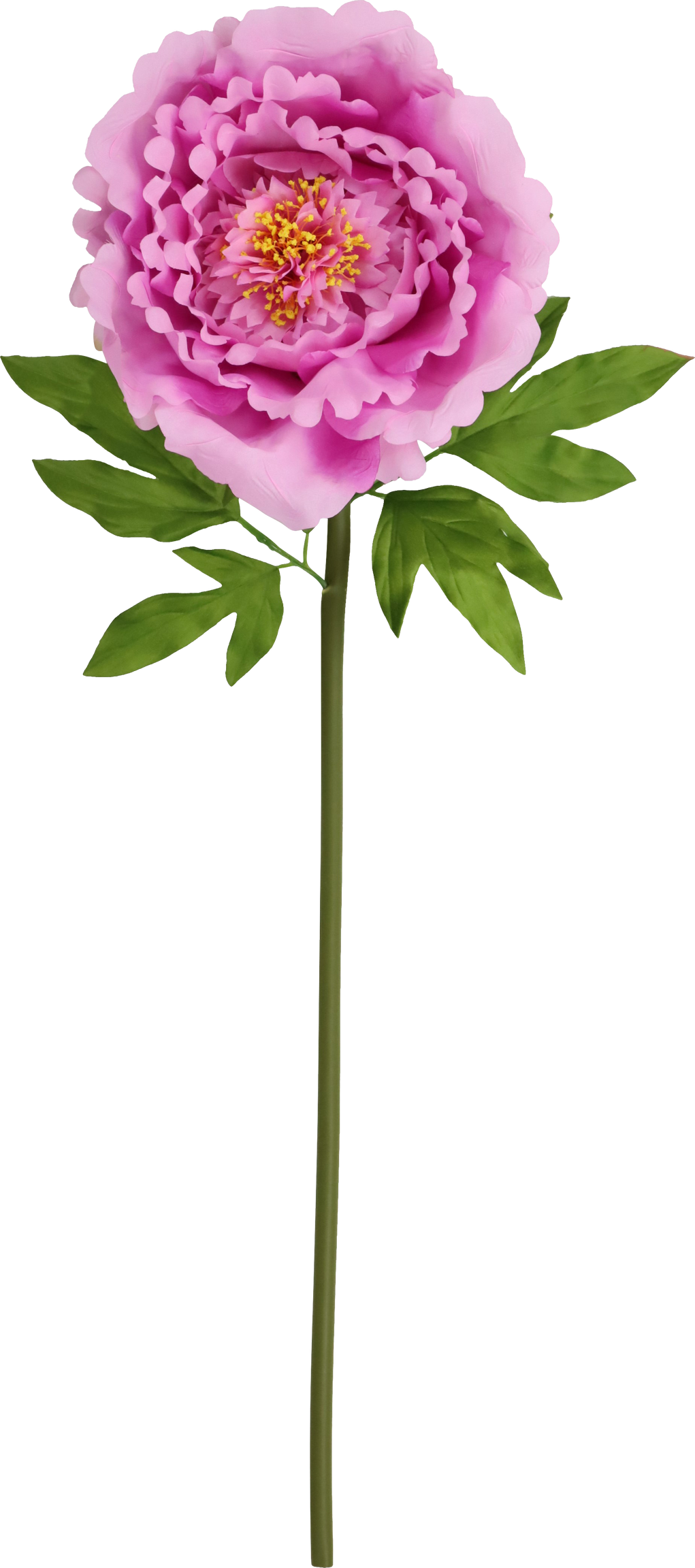 4993 FLEUR GÉANTE  ROSE