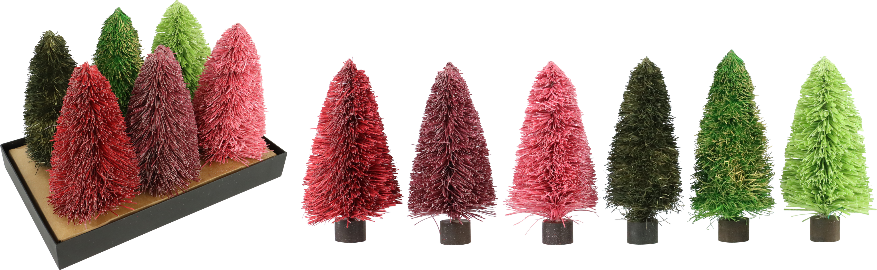 5183 TREE FRILL  S/6