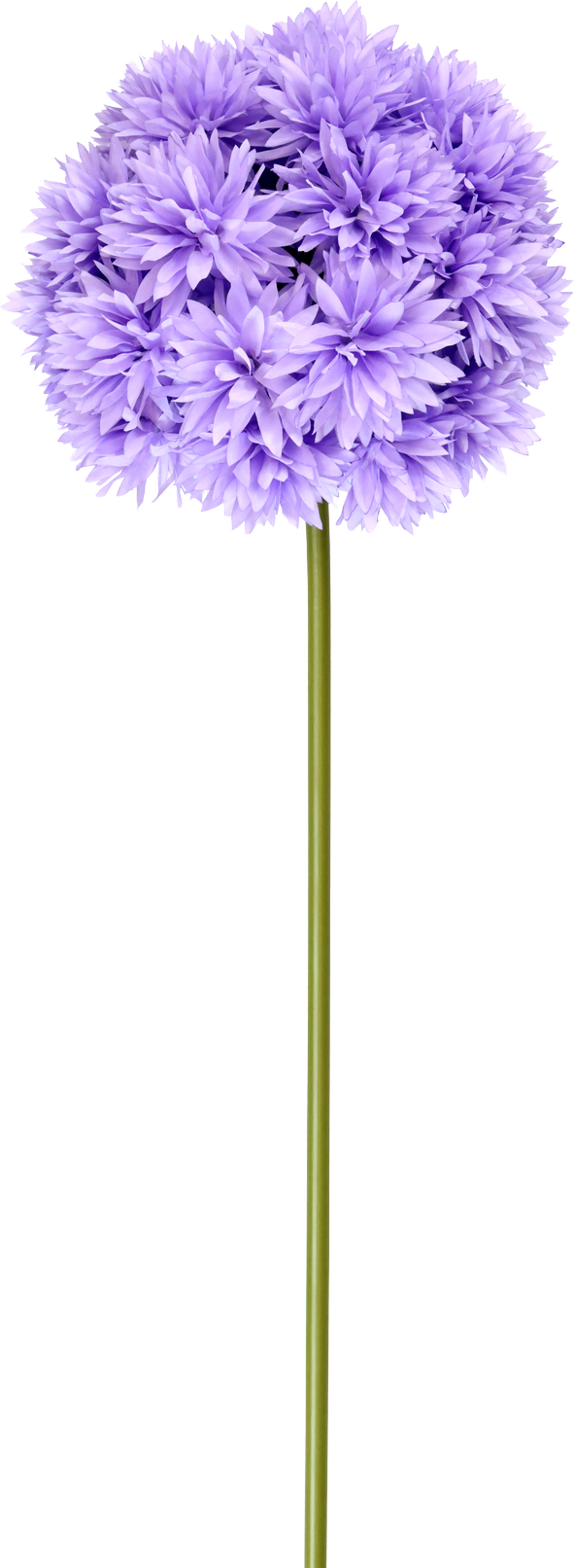 5212 XL-BLUME CHRYSANTHEME