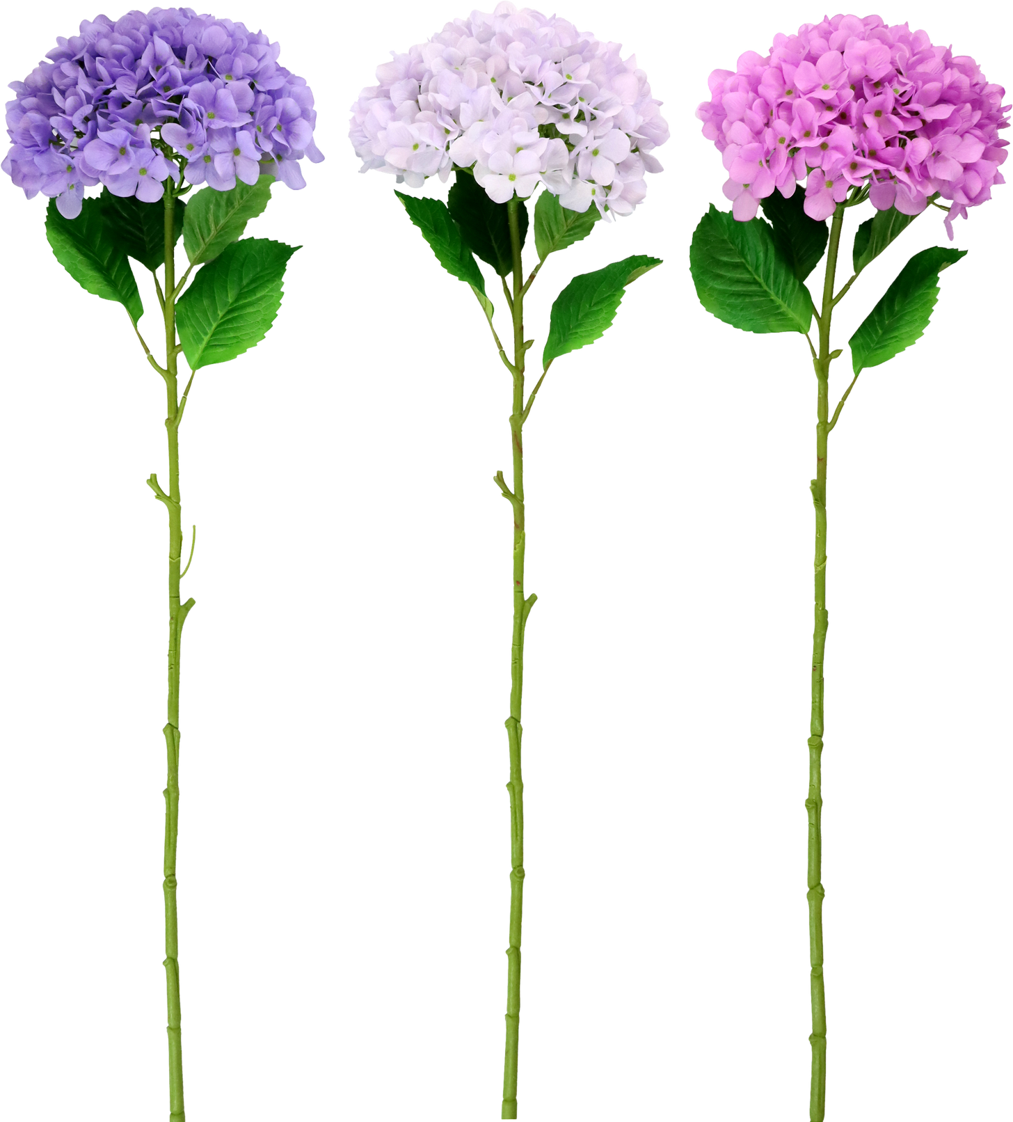 5248 BLUMENTRIO HORTENSIE  S/3