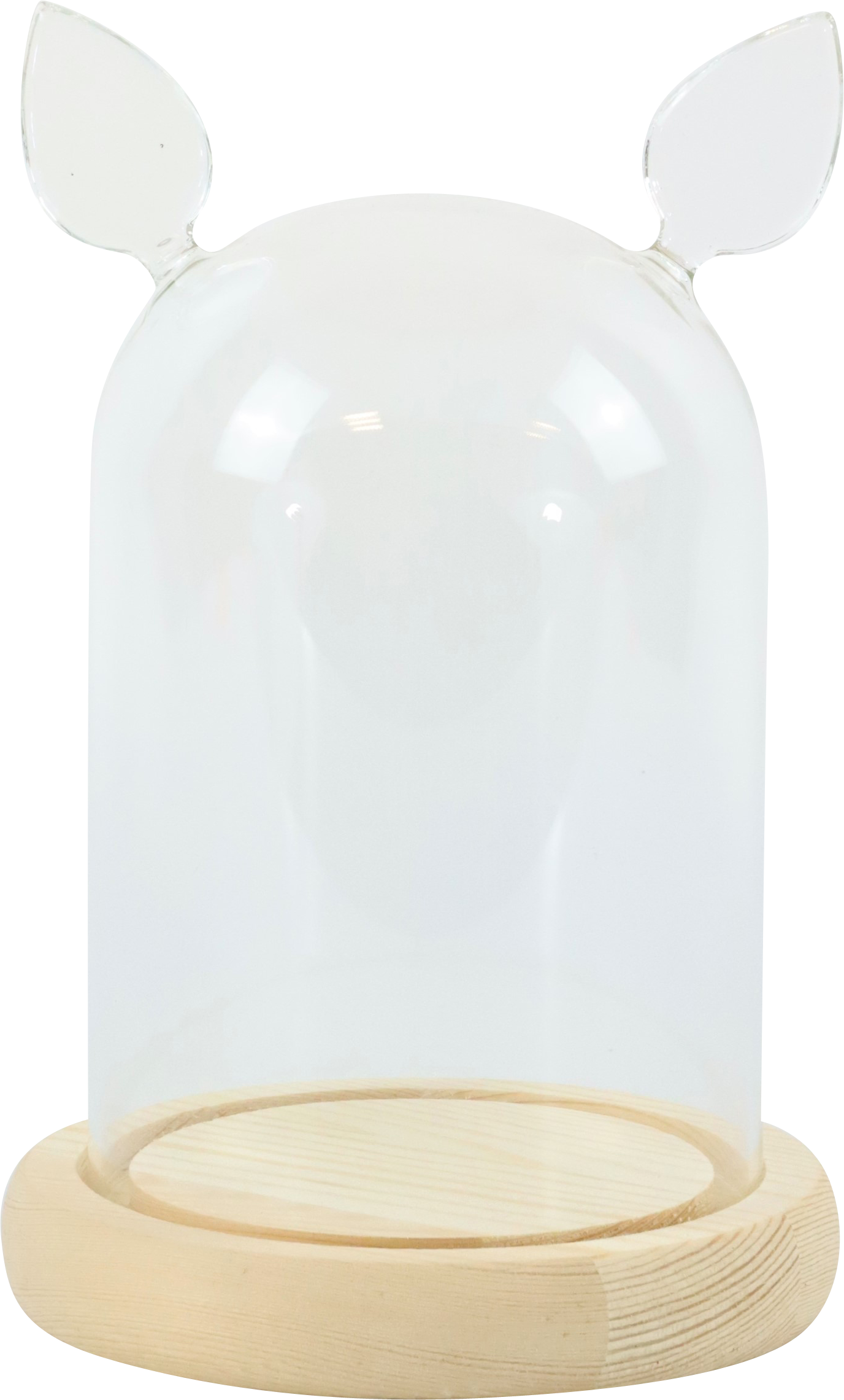 5541 GLASSDOME BROADWAY