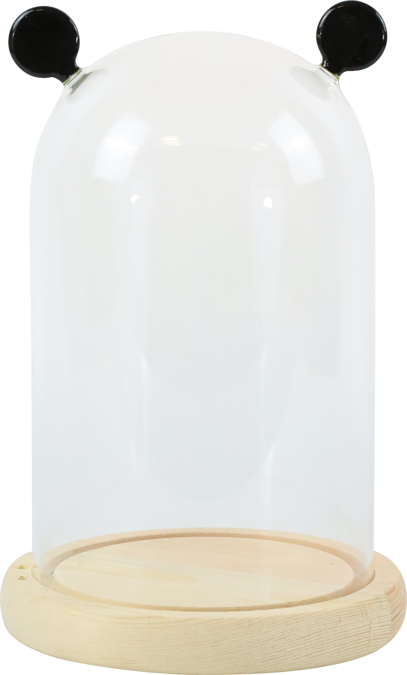 5542 GLASSDOME BROADWAY