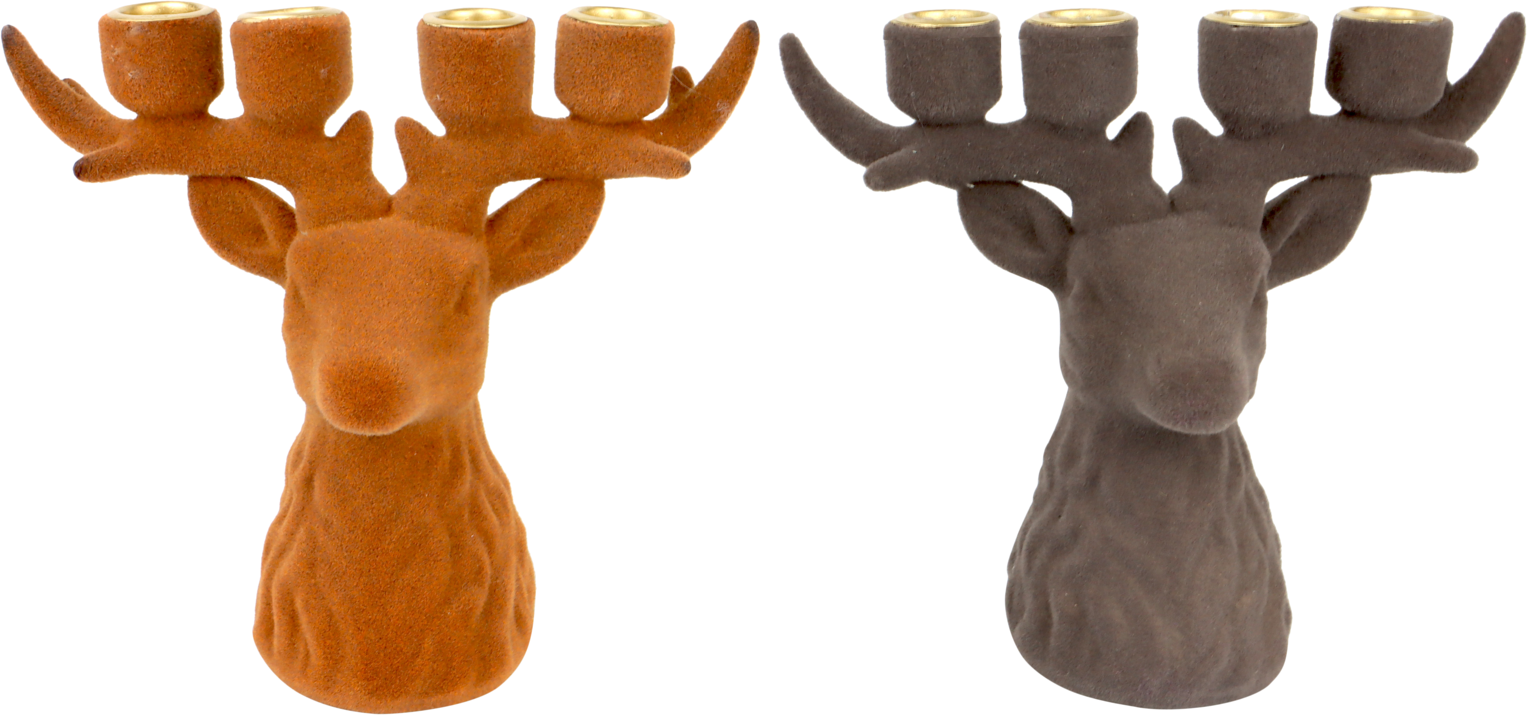 5735 HIRSCHLEUCHTER FOREST GLOW  S/2