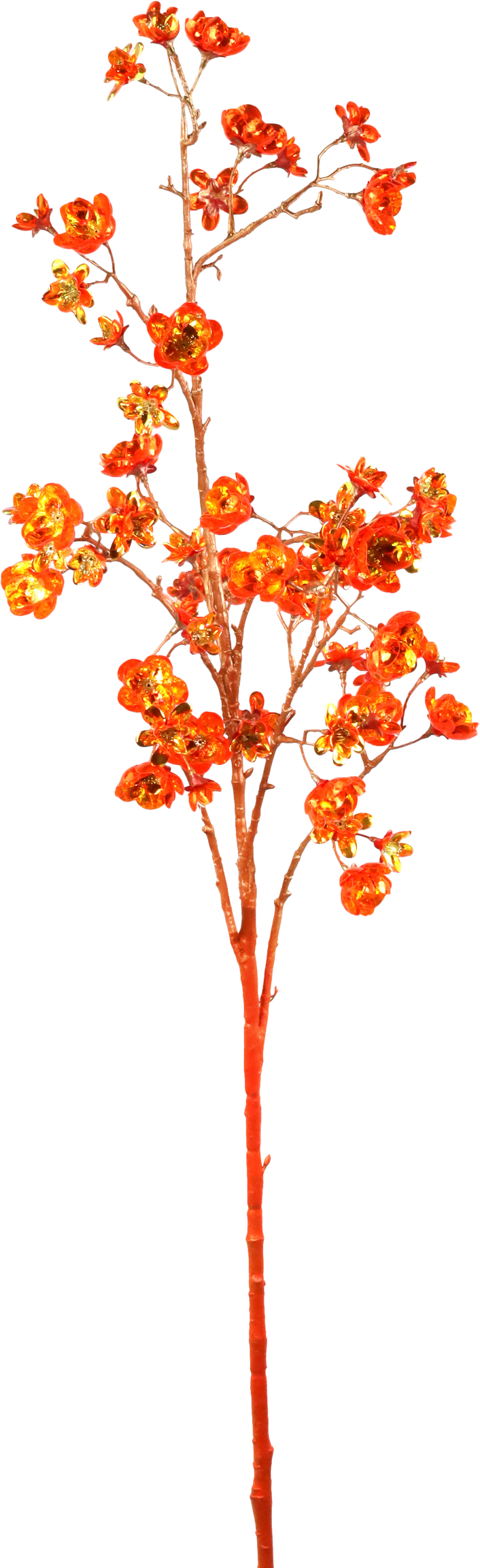5833 BRANCHE  FLORA LUXE  ORANGE
