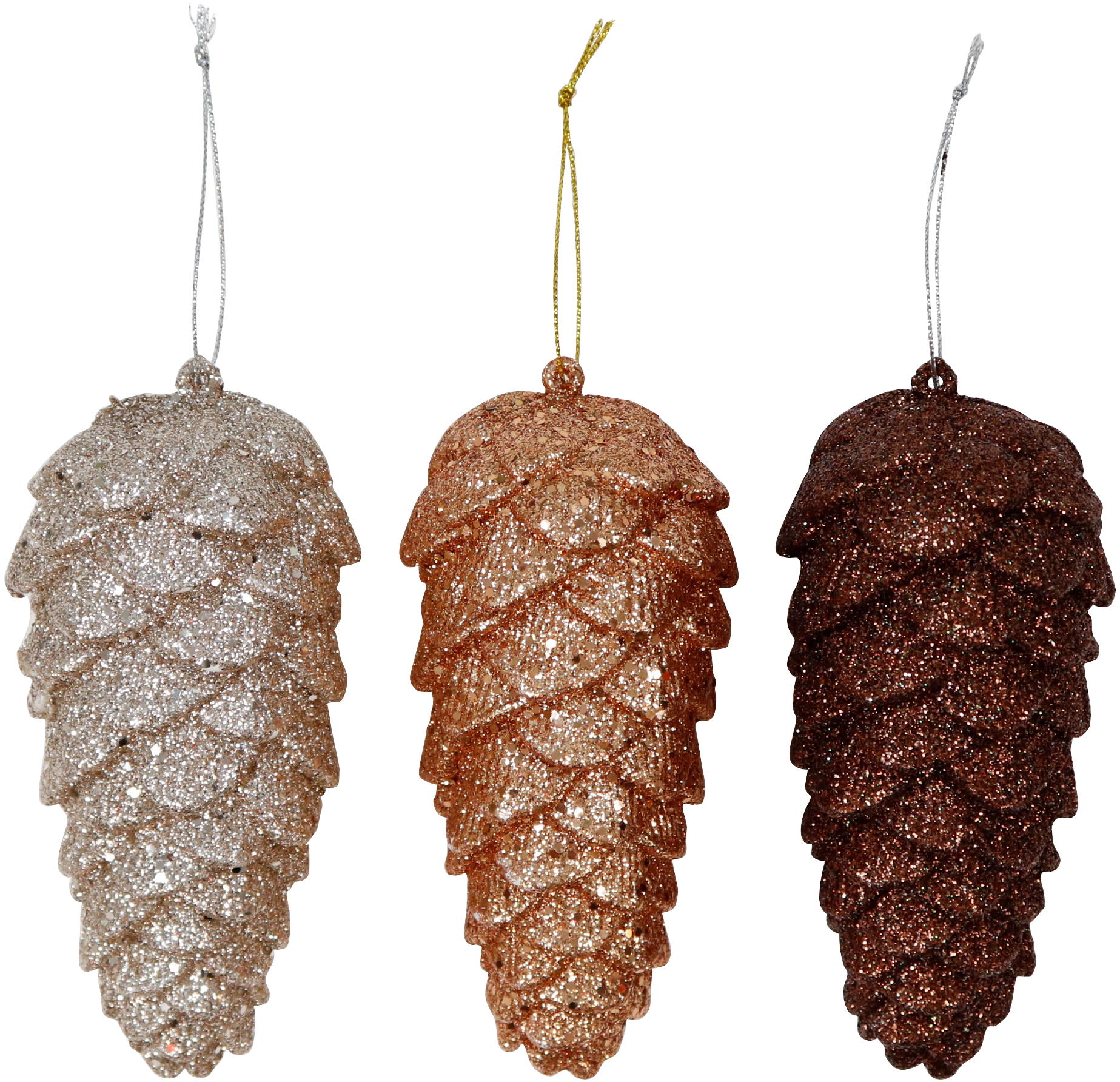 6222 POMME DE PIN  GLORY  3P