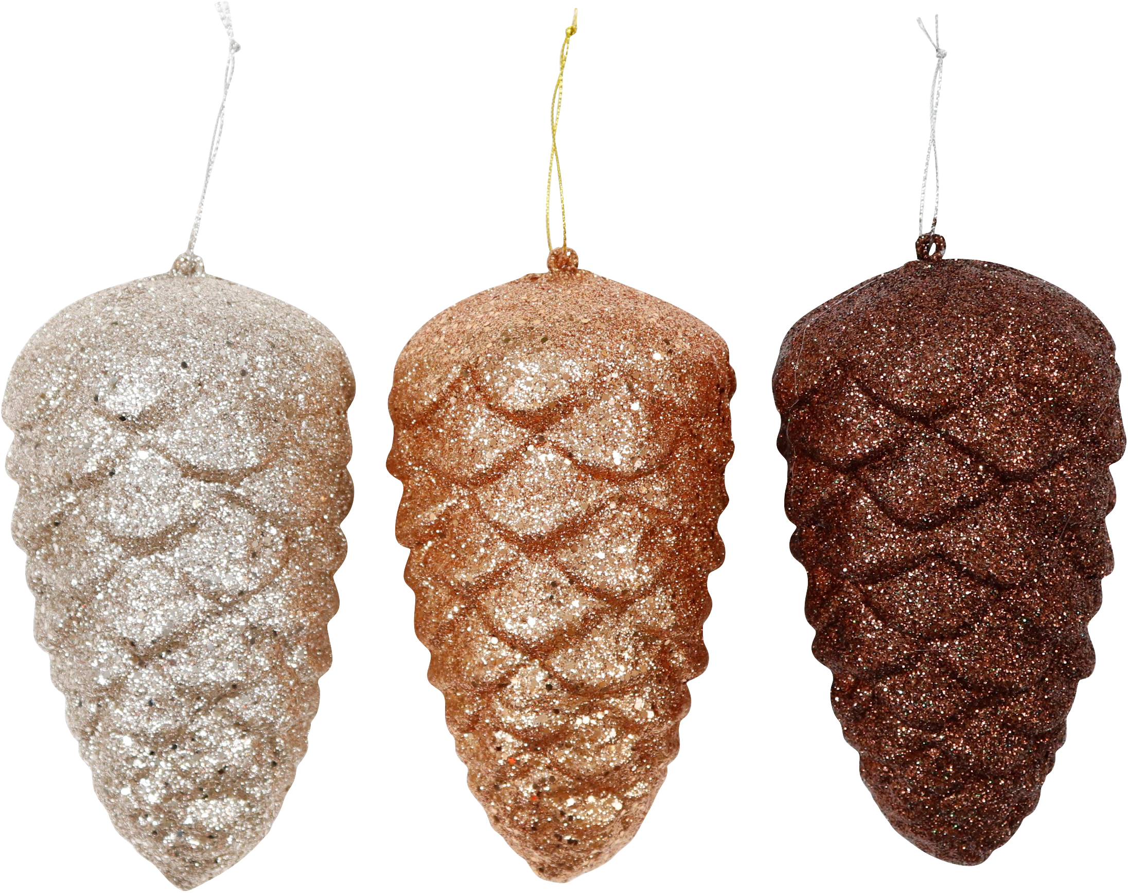 6232 POMME DE PIN  GLORY  3P