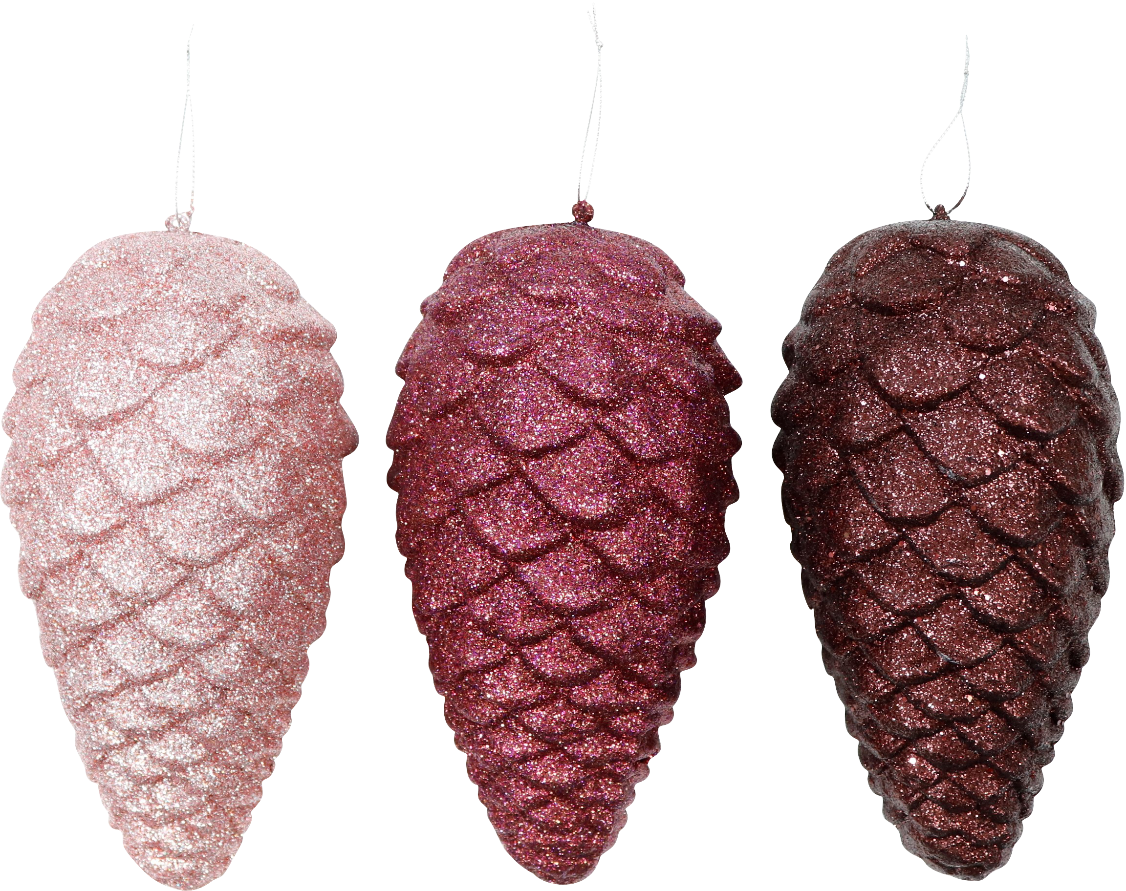 6235 POMME DE PIN  GLORY  3P