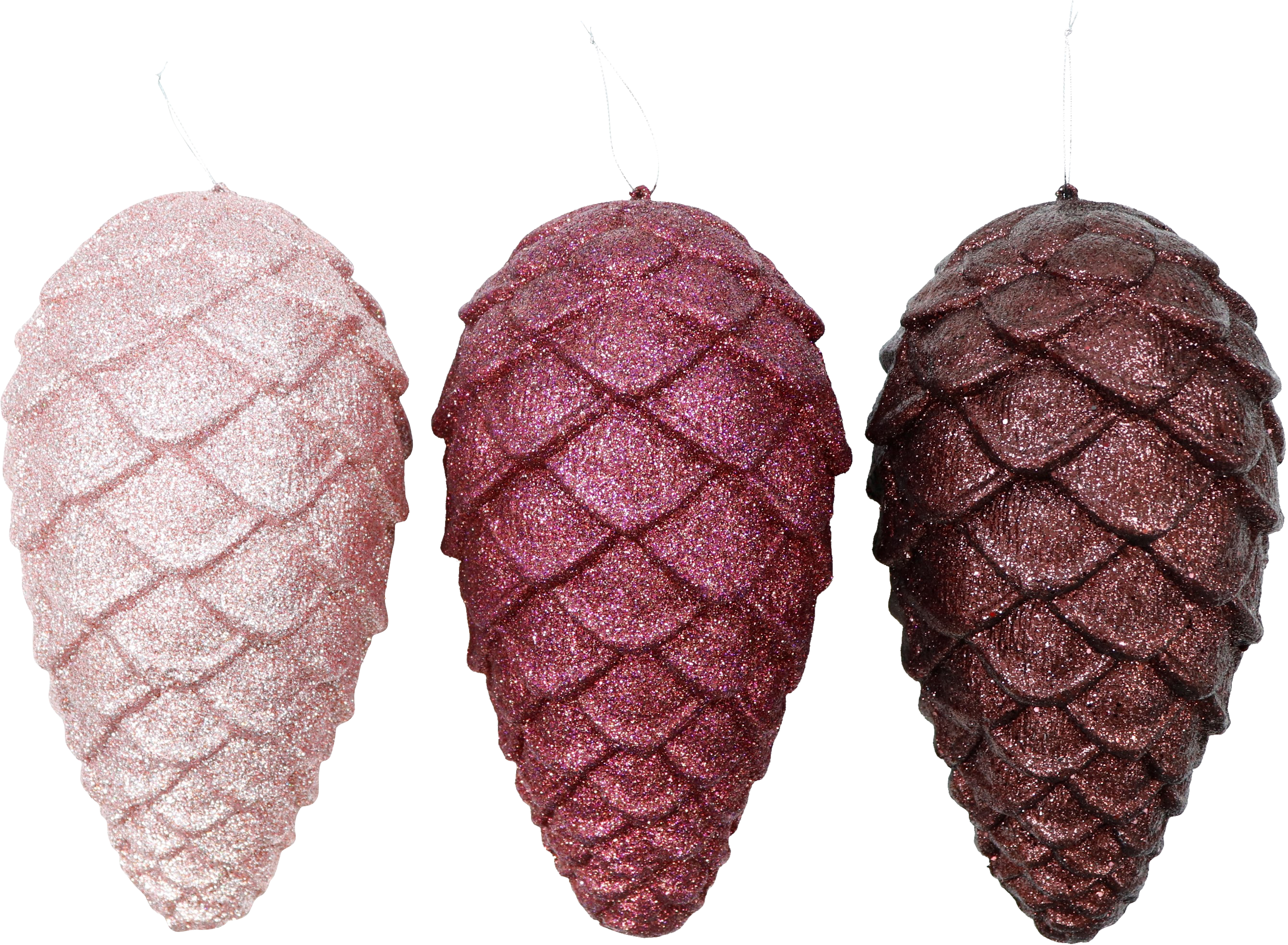 6239 POMME DE PIN  GLORY  3P