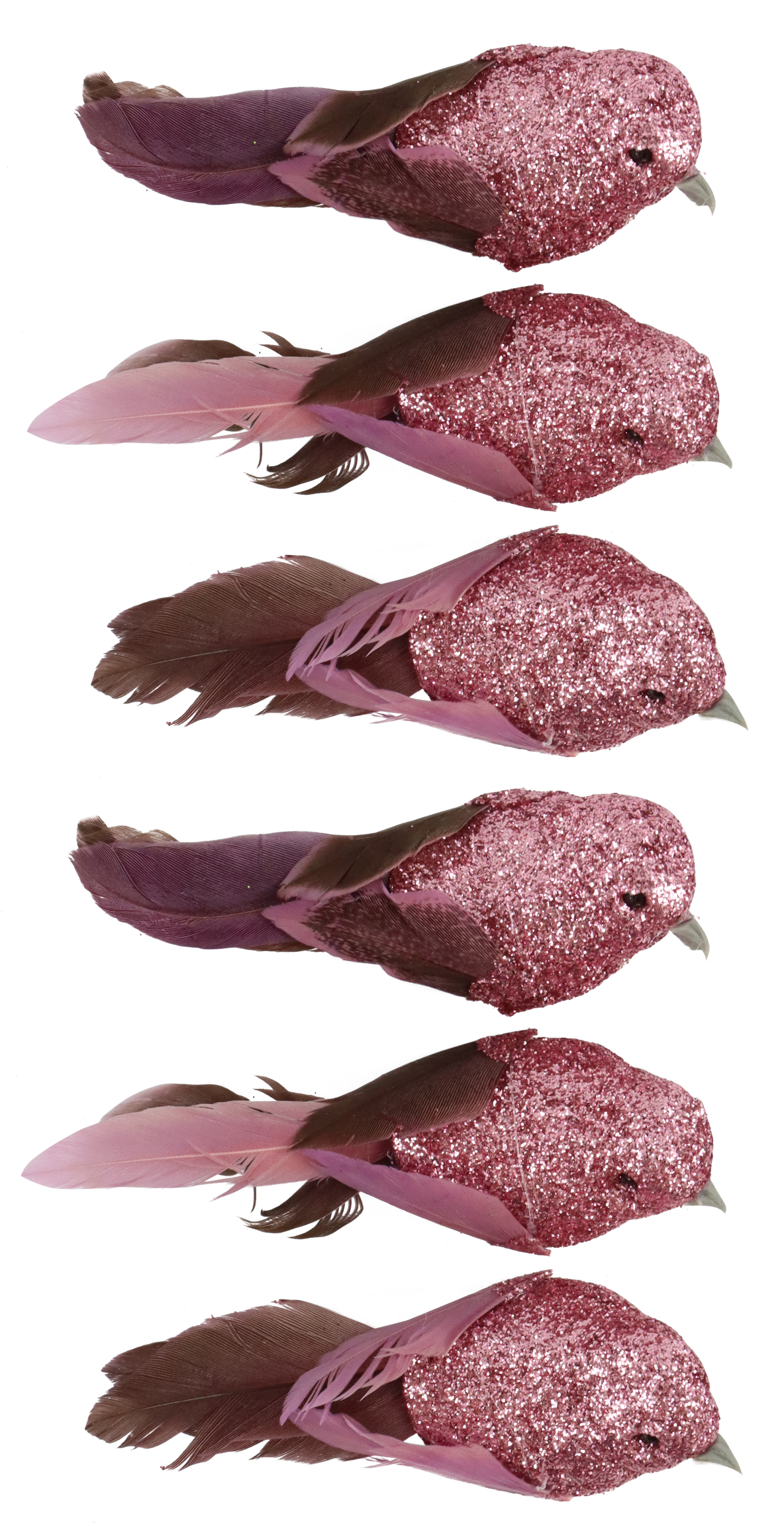 6663 OISEAUX  FEDERSTOLZ  6P