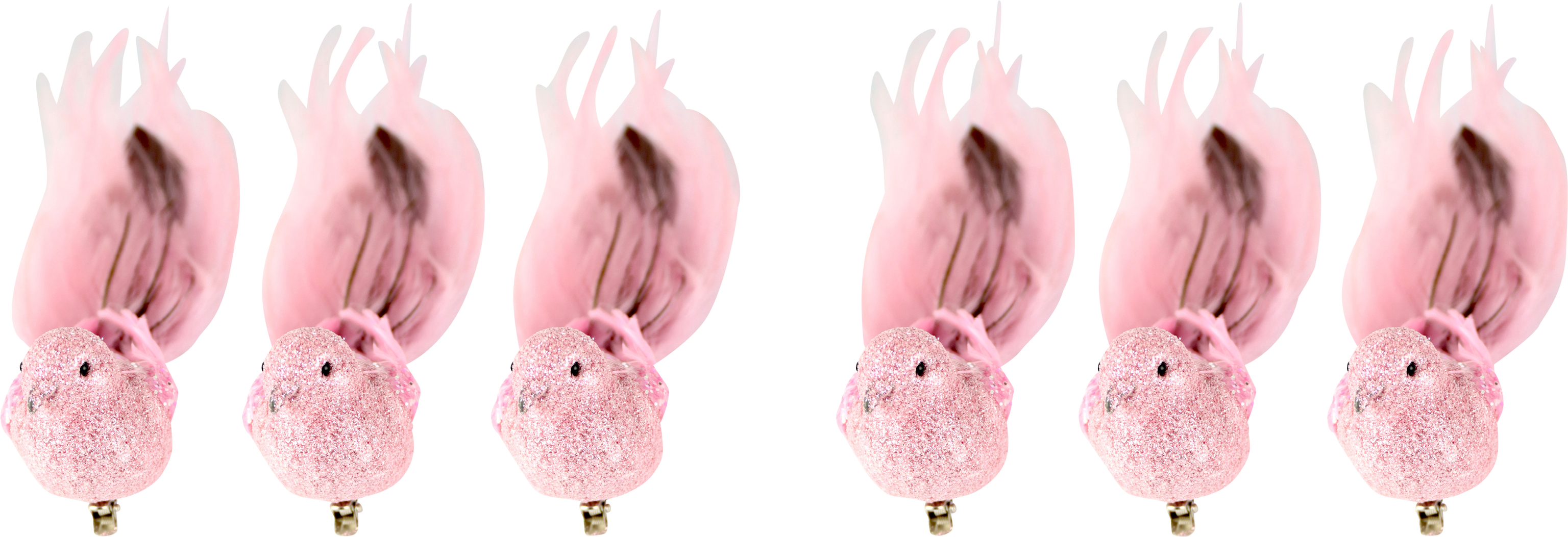 6664 OISEAUX  FEDERSTOLZ  6P