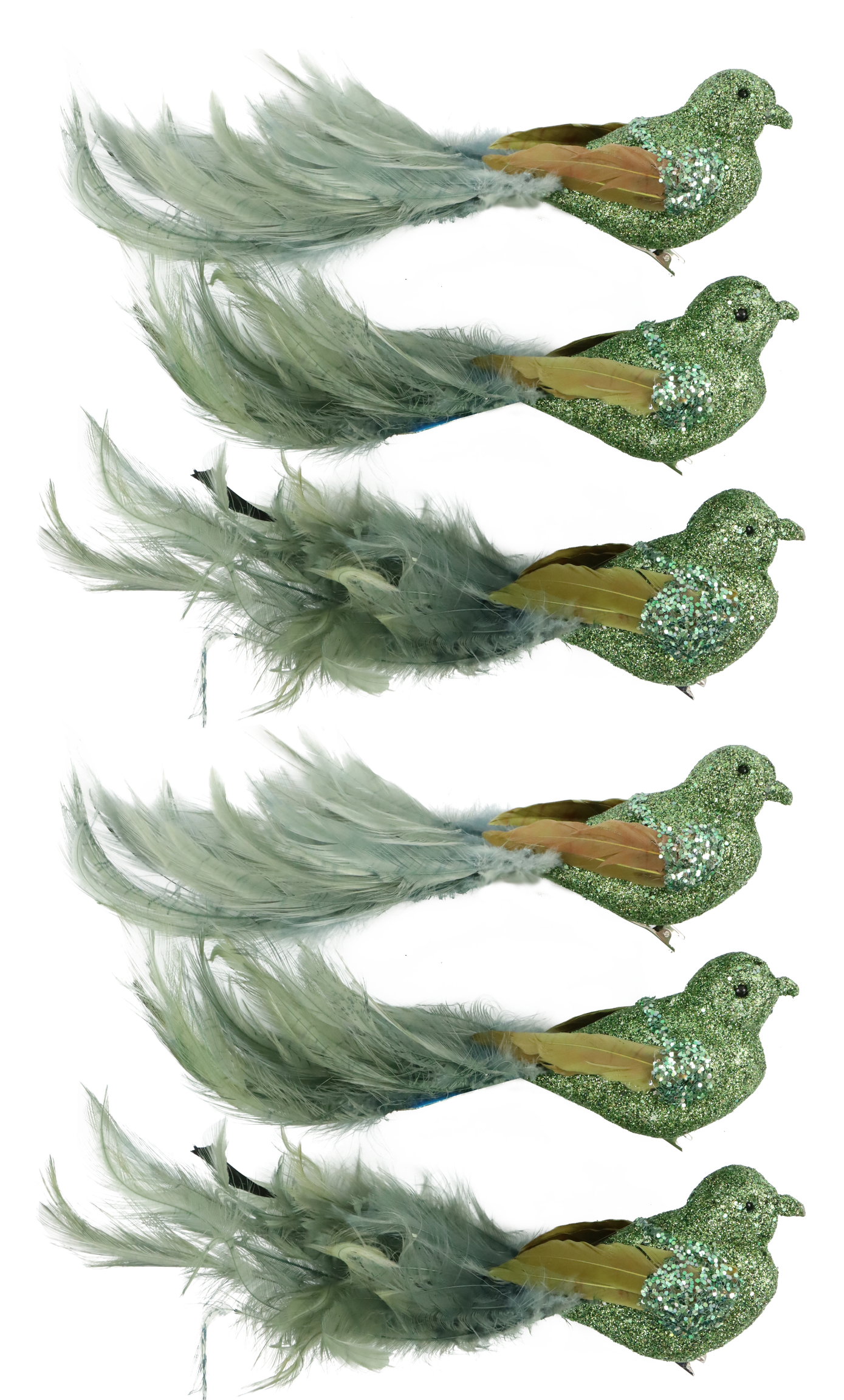 6665 OISEAUX  FEDERSTOLZ  6P