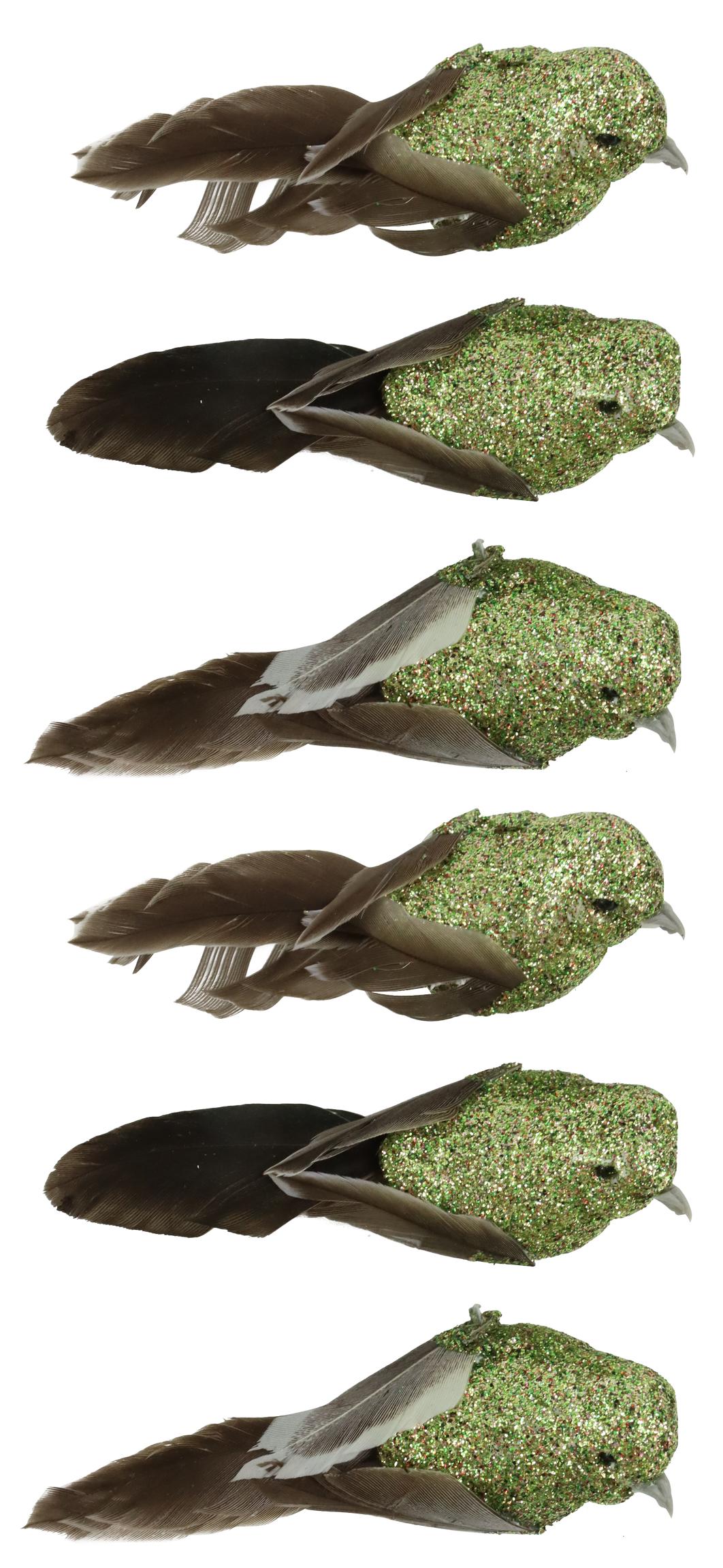 6666 OISEAUX  FEDERSTOLZ  6P