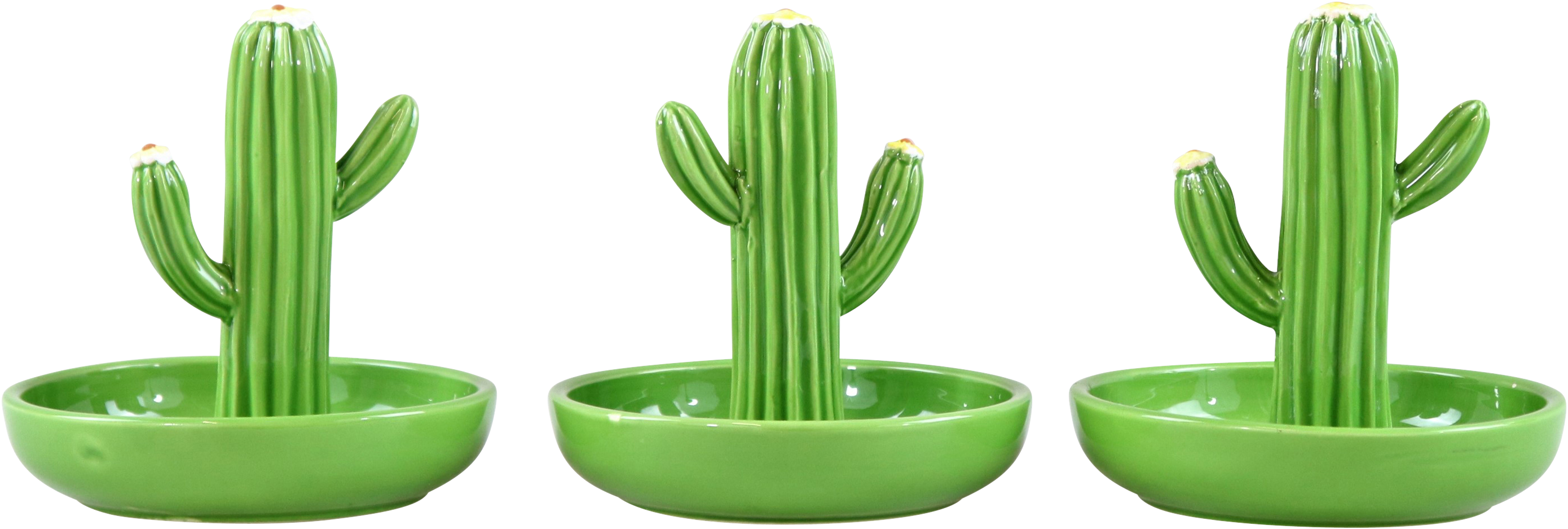 6752 BOWLS CACTUS  S/3