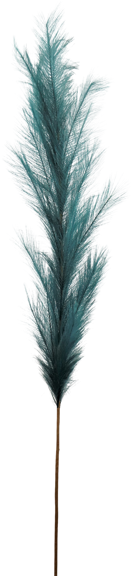 7160 PLUME PETROL 170CM