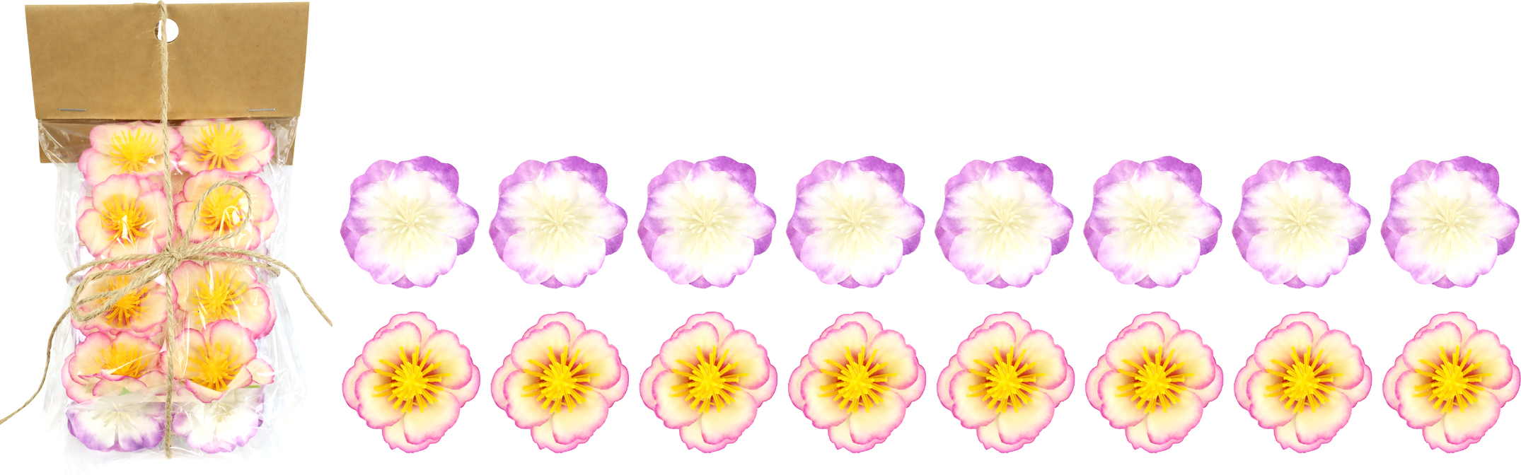 7482 KLAMMERN ORCHIDEE 2X8 S/16