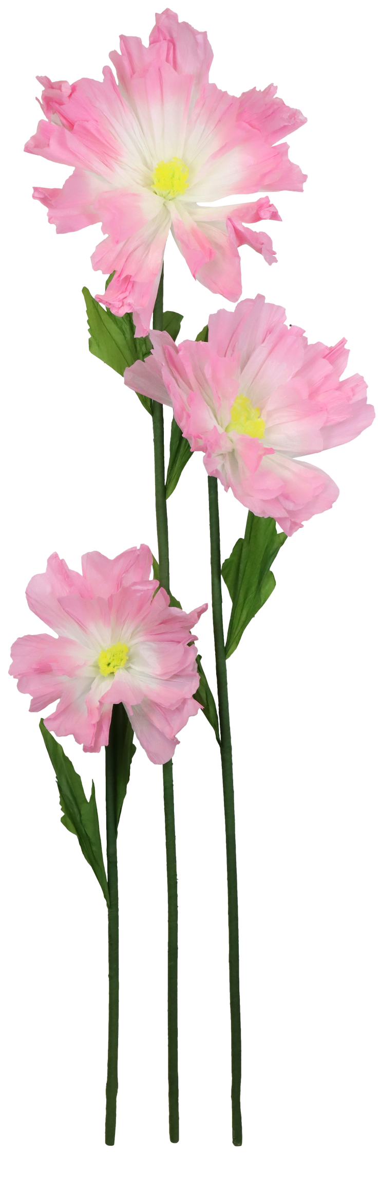 7952 FLEUR GEANTE FLEURFANTASTIQUE  3P