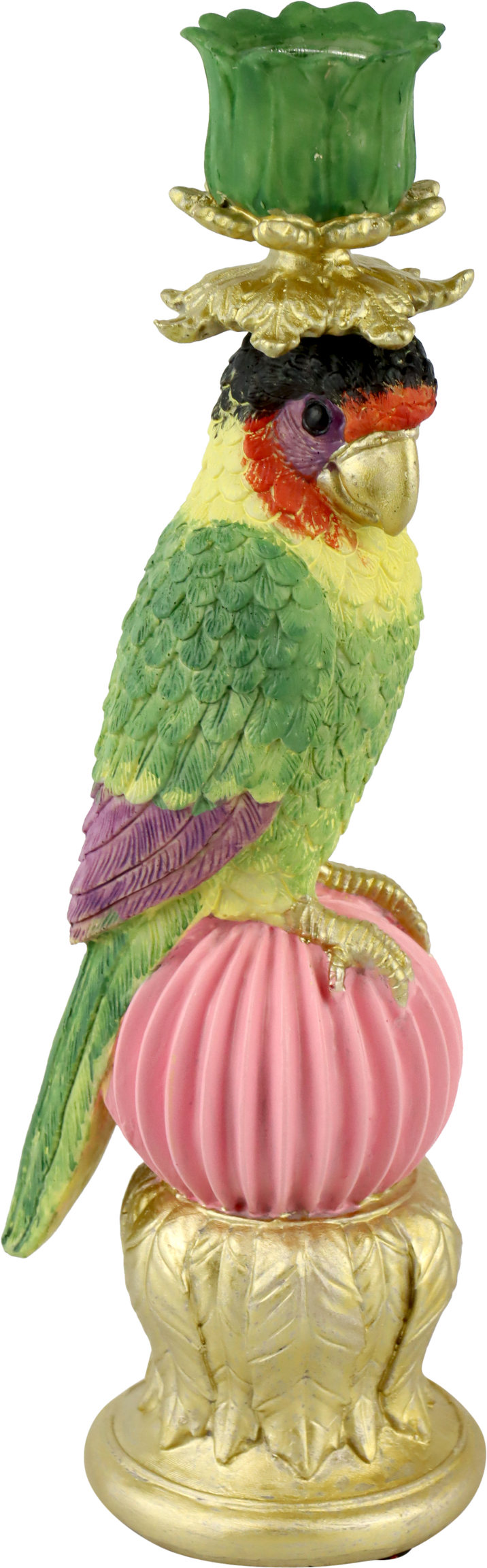 7955 BOUGEOIR « PARADISE PARROT »