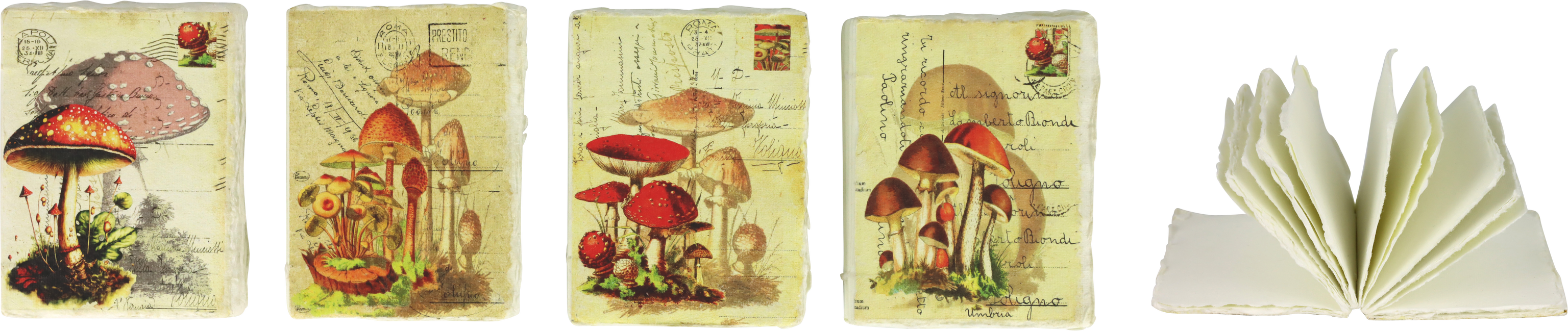 8129 NOTEBOOKS MUSHROOM  S/4