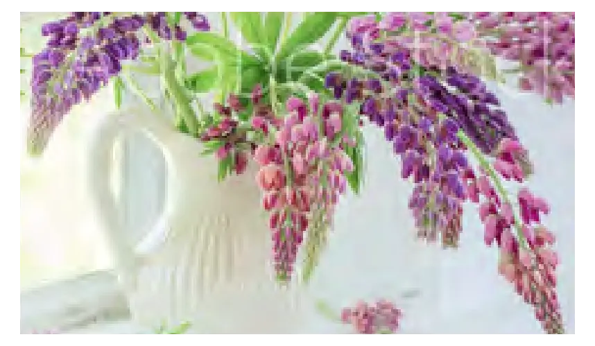 Blooming Floral Fanatsy